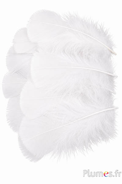 Tacchina - 6-8 cm - bianco